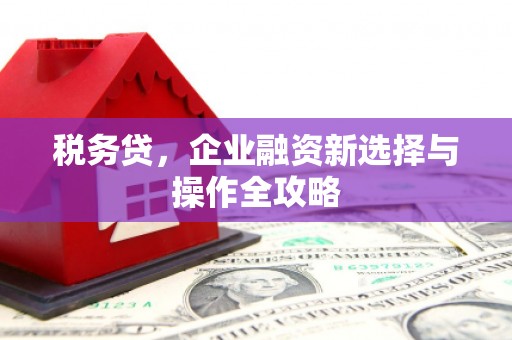 青浦税务贷，企业融资新选择与操作全攻略