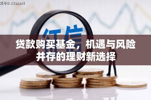青浦贷款购买基金，机遇与风险并存的理财新选择