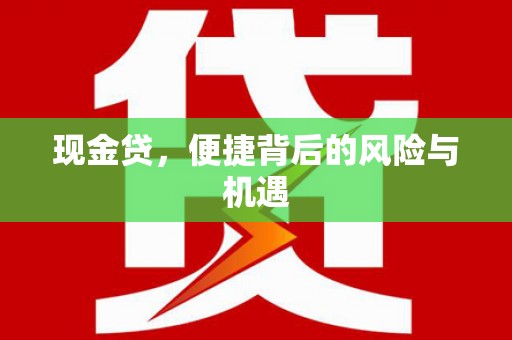 青浦现金贷，便捷背后的风险与机遇