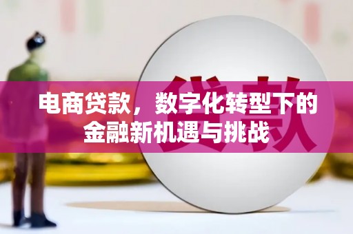 青浦电商贷款，数字化转型下的金融新机遇与挑战