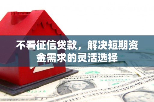 青浦不看征信贷款，解决短期资金需求的灵活选择
