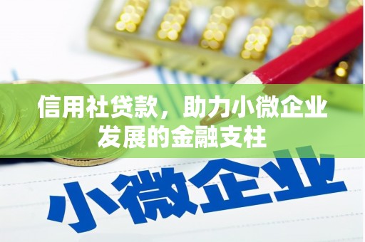 青浦信用社贷款，助力小微企业发展的金融支柱