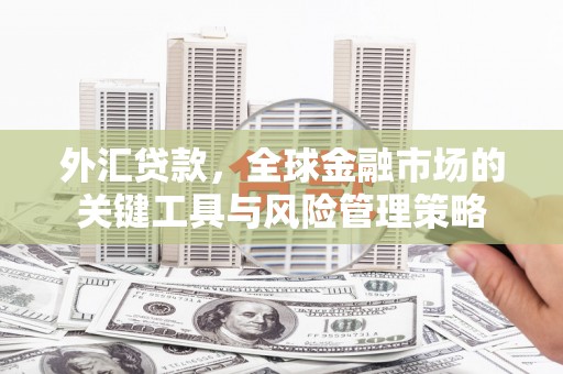 青浦外汇贷款，全球金融市场的关键工具与风险管理策略