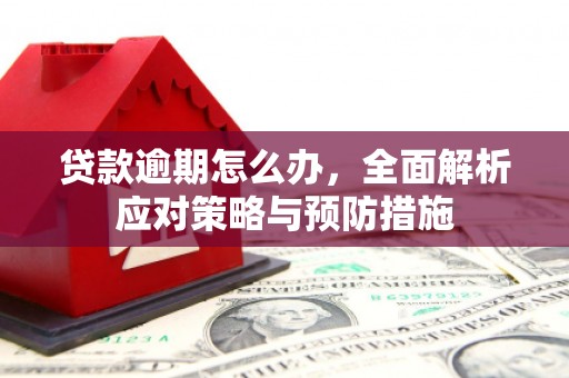 青浦贷款逾期怎么办，全面解析应对策略与预防措施