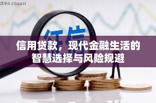 青浦信用贷款，现代金融生活的智慧选择与风险规避
