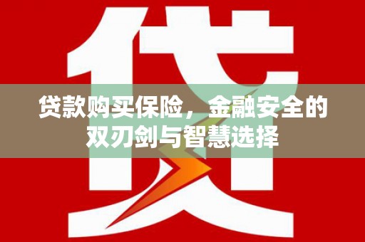 青浦贷款购买保险，金融安全的双刃剑与智慧选择
