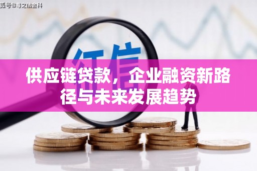 青浦供应链贷款，企业融资新路径与未来发展趋势