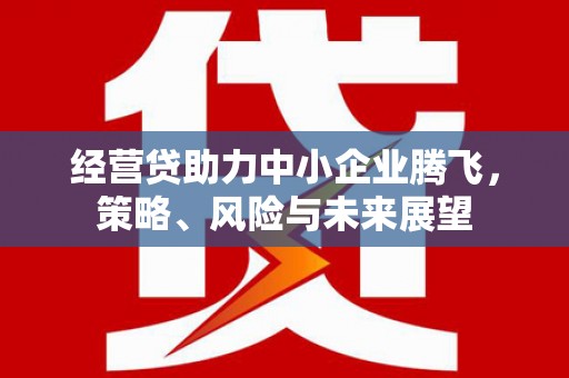 青浦经营贷助力中小企业腾飞，策略、风险与未来展望