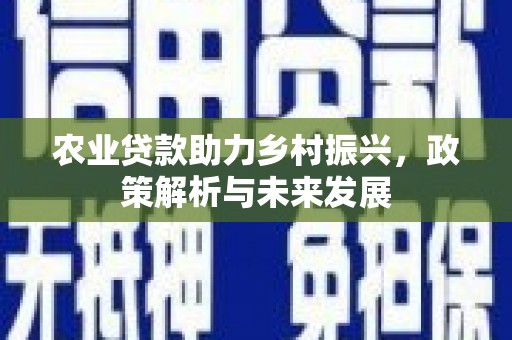 青浦农业贷款助力乡村振兴，政策解析与未来发展