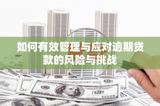 青浦如何有效管理与应对逾期贷款的风险与挑战
