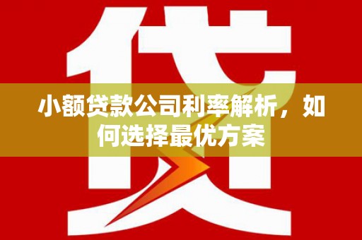 青浦小额贷款公司利率解析，如何选择最优方案