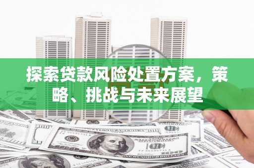 青浦探索贷款风险处置方案，策略、挑战与未来展望