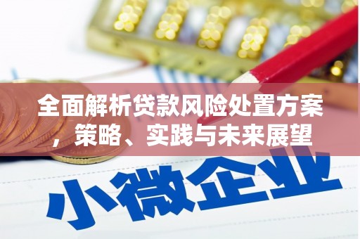 青浦全面解析贷款风险处置方案，策略、实践与未来展望