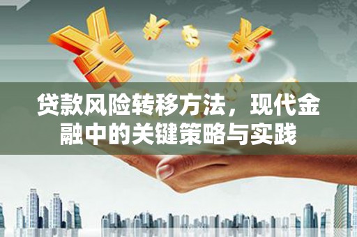 青浦贷款风险转移方法，现代金融中的关键策略与实践