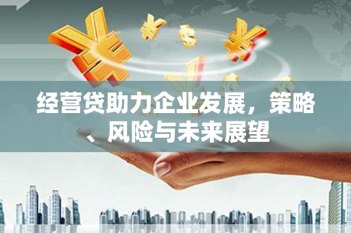 青浦经营贷助力企业发展，策略、风险与未来展望
