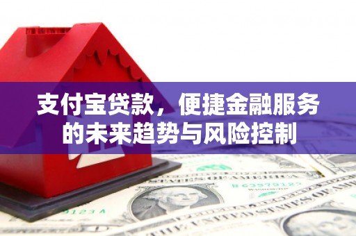 青浦支付宝贷款，便捷金融服务的未来趋势与风险控制