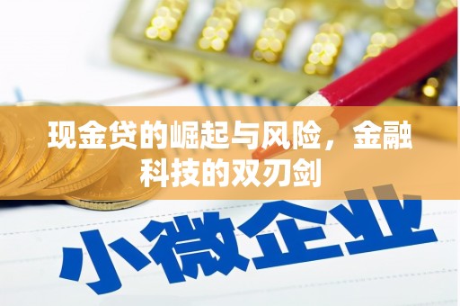 青浦现金贷的崛起与风险，金融科技的双刃剑