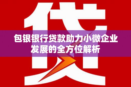 青浦包银银行贷款助力小微企业发展的全方位解析 青浦包银银行贷款助力小微企业发展的全方位解析