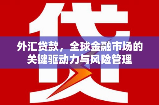 青浦外汇贷款，全球金融市场的关键驱动力与风险管理
