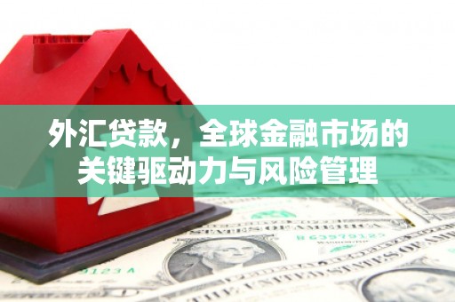 青浦外汇贷款，全球金融市场的关键驱动力与风险管理