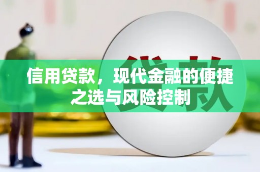 青浦信用贷款，现代金融的便捷之选与风险控制
