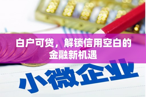 青浦白户可贷，解锁信用空白的金融新机遇