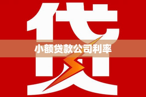 青浦小额贷款公司利率