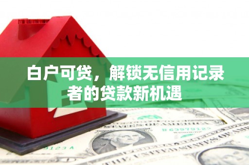 青浦白户可贷，解锁无信用记录者的贷款新机遇