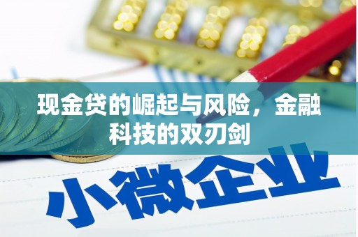 青浦现金贷的崛起与风险，金融科技的双刃剑