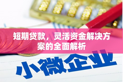 青浦短期贷款，灵活资金解决方案的全面解析