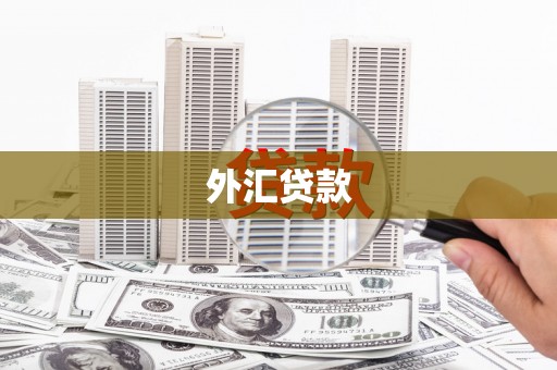 青浦外汇贷款