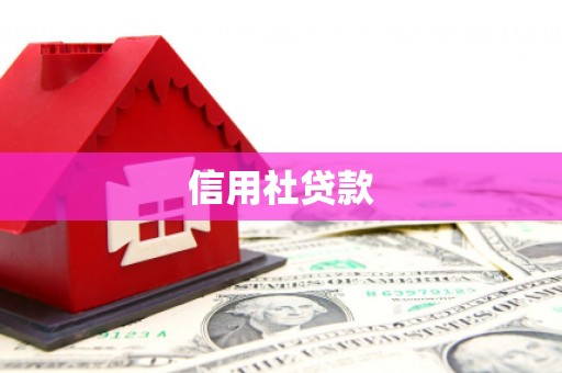 青浦信用社贷款