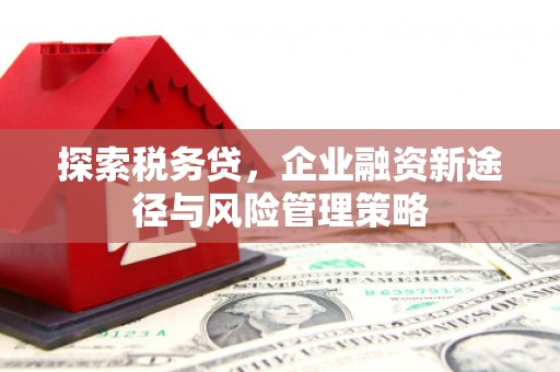 青浦探索税务贷，企业融资新途径与风险管理策略