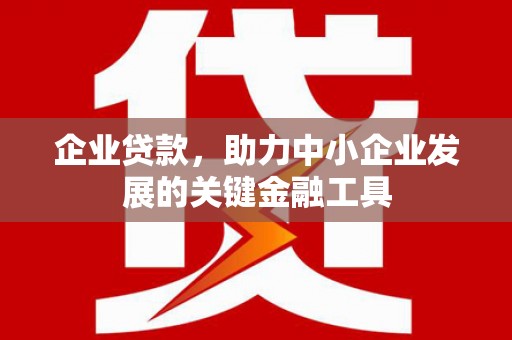 青浦企业贷款，助力中小企业发展的关键金融工具