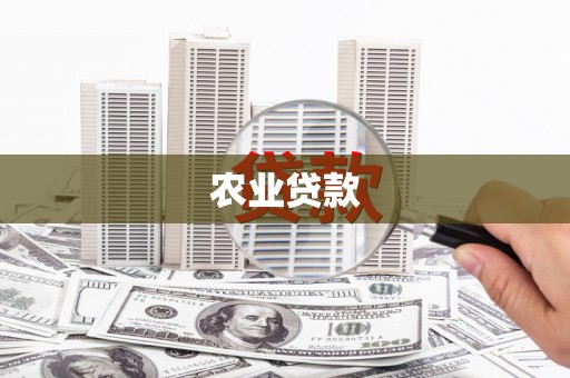 青浦农业贷款