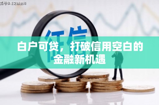 青浦白户可贷，打破信用空白的金融新机遇