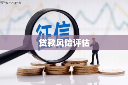 青浦贷款风险评估
