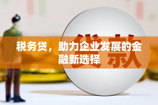 青浦税务贷，助力企业发展的金融新选择