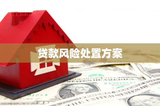 青浦贷款风险处置方案