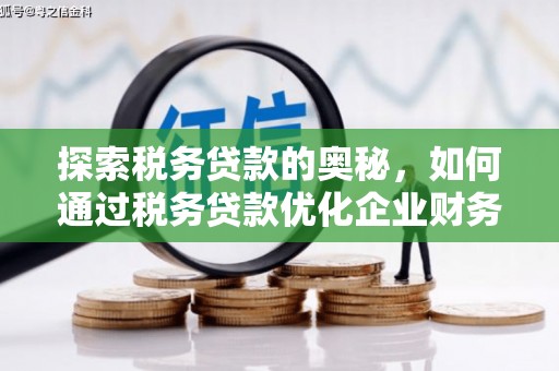 青浦探索税务贷款的奥秘，如何通过税务贷款优化企业财务