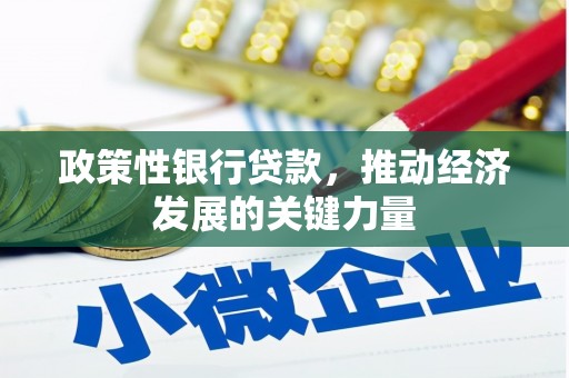 青浦政策性银行贷款，推动经济发展的关键力量