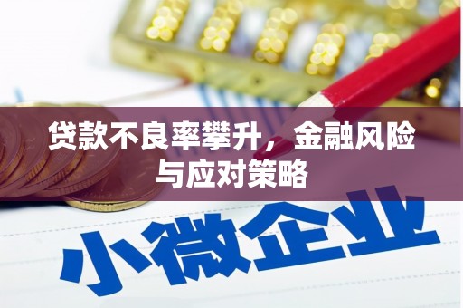 青浦贷款不良率攀升，金融风险与应对策略