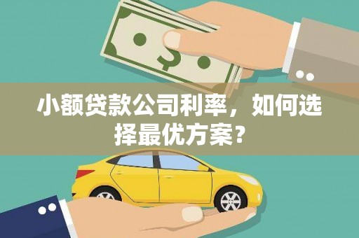 青浦小额贷款公司利率，如何选择最优方案？