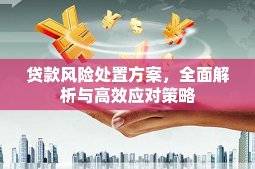 青浦贷款风险处置方案，全面解析与高效应对策略