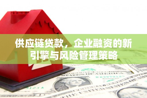 青浦供应链贷款，企业融资的新引擎与风险管理策略