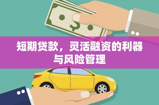 青浦短期贷款，灵活融资的利器与风险管理