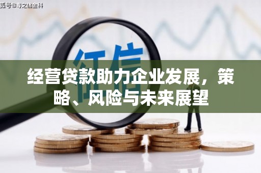 青浦经营贷款助力企业发展，策略、风险与未来展望