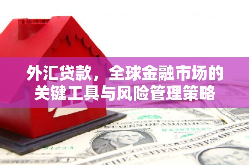 青浦外汇贷款，全球金融市场的关键工具与风险管理策略