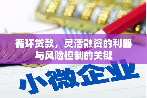 青浦循环贷款，灵活融资的利器与风险控制的关键