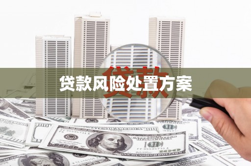 青浦贷款风险处置方案